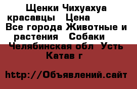 Щенки Чихуахуа красавцы › Цена ­ 9 000 - Все города Животные и растения » Собаки   . Челябинская обл.,Усть-Катав г.